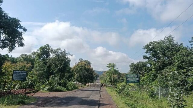 Chhattisgarh_News_01-1-1.jpg