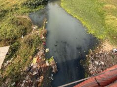CG हाईकोर्ट की सख्ती, पूछा- 4 STP से कैसे साफ होगा अरपा नदी में गिरने वाले 70 नालों का पानी?