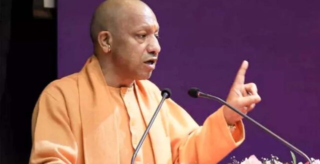 yogi_2_27_1-1.jpg
